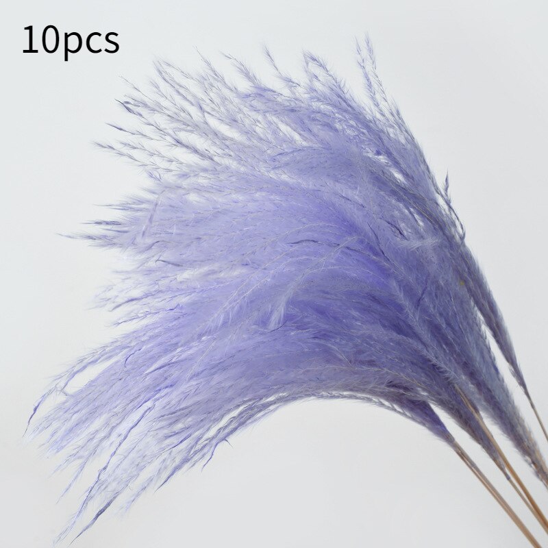 10Pcs Dry Dried Small Pampas Grass Flowers Pantas Artificiales Para Decoracion Real Plants Home Decor Wedding Decoration: small purple