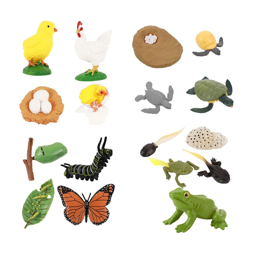 4 Sets Vivid Mooie Plastic Funny Animal Groei Cyclus Model Dieren Levenscyclus Model: Default Title