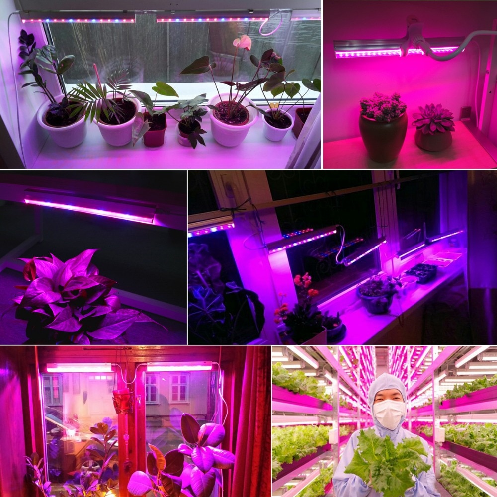 Led odlingsljus inomhus hem blombelysning tillväxt fito lamprör för växter plantskola hydroponics fullt spektrum led fytolampa