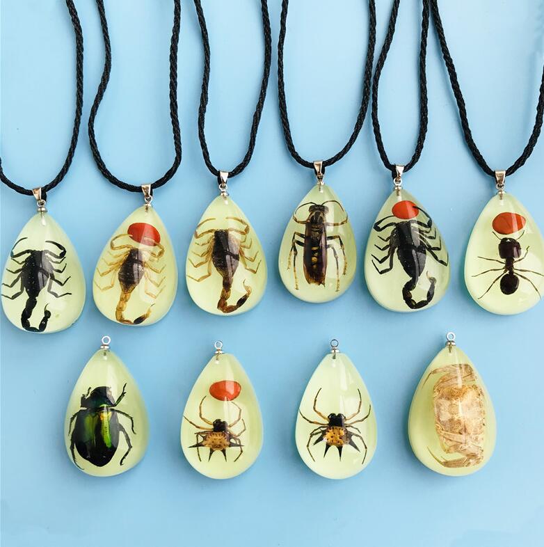 Resin Insect Charms Necklace Luminous Insects Amber Pendant Rope Necklaces Scorpion Ant Stalls Manufacturers