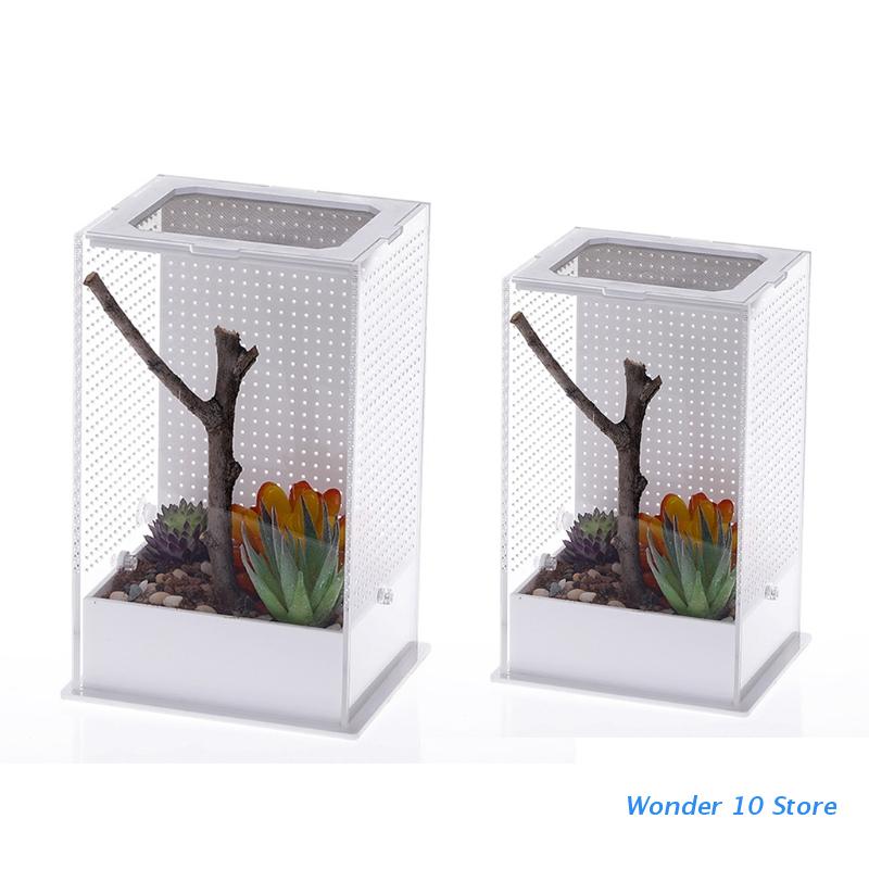 Insect Voerbox Transparante Container Plastic Terrarium Voor Spinnen Kleine Slangen Reptiel Carrier Box Om Los