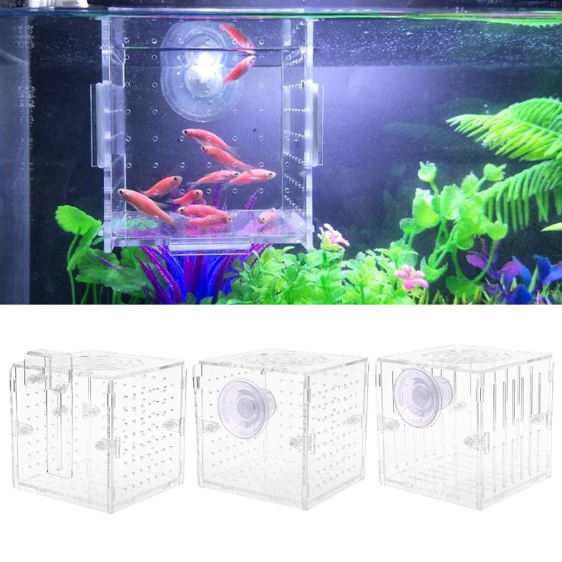 Acrylic Aquarium Fish Breeding Isolation Box With Sucker for Baby Fish Hatchery Incubator Cage