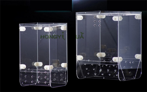 1 stück glas angeln Kasten fangen sterben fisch Kasten fütterung kreis Isolation Kasten verdreifachen passen Kasten meerwasser falle Aquarium lieferungen