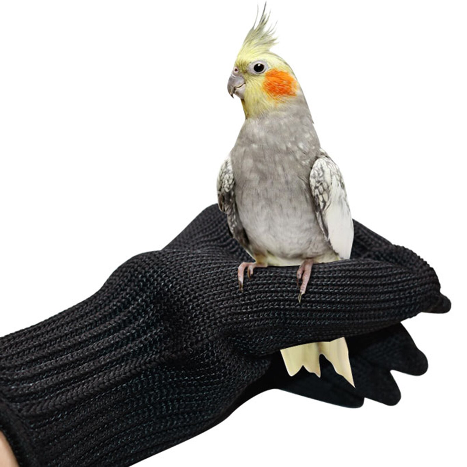 Guantes antimordeduras de entrenamiento para pájaros y loros, guantes protectores de alambre de acero para masticar, manejo de animales pequeños, accesorios para periquitos