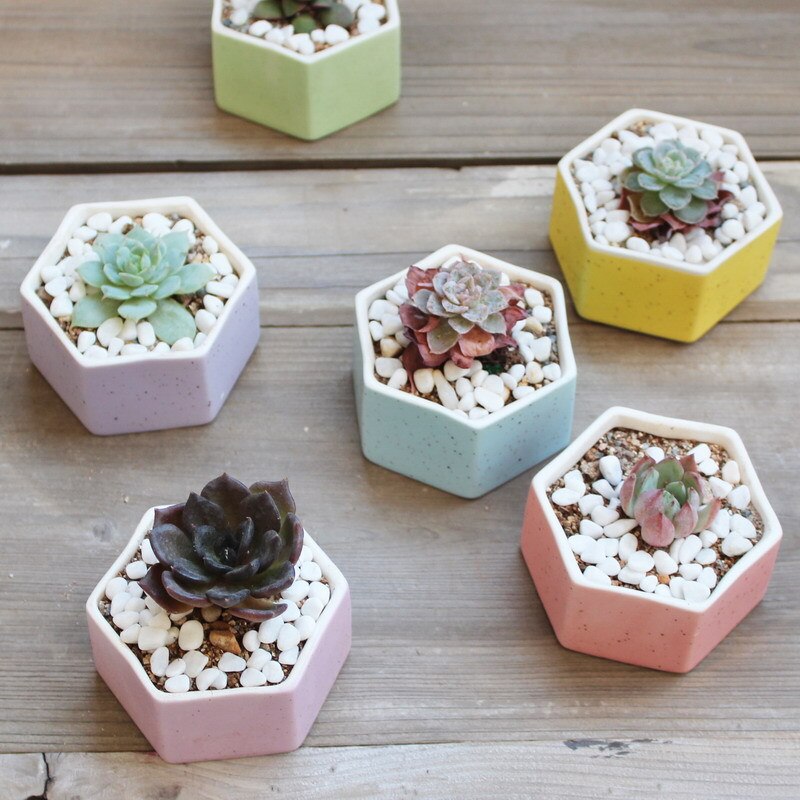 Maceta de cerámica pequeña y fresca con flor carnosa de JQWORV, macarrones arcoíris, macetero de dedo, plantación verde, adornos de escritorio, maceta