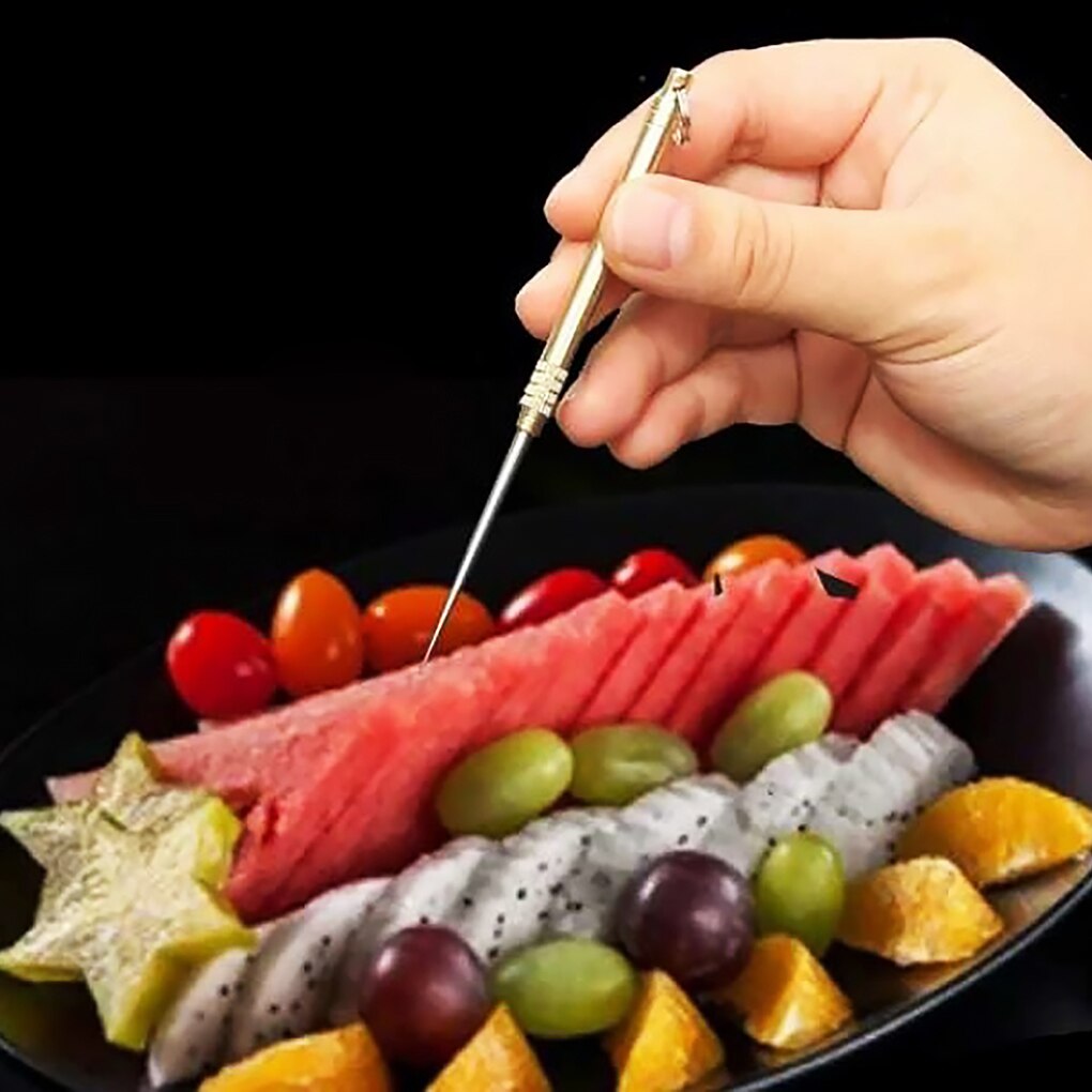 Picnic Toothpick Metal Fruit Fork Toothpick Portable Barbecue Tooth Cleaning Supply with Holder