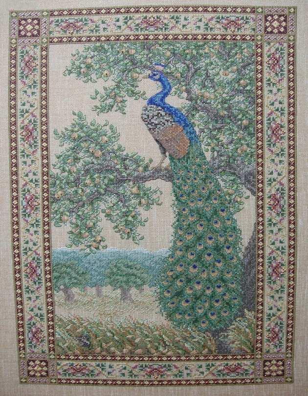 gold collection beautiful counted cross stitch kit peacock on apple tree forest trees fruite teresa TW