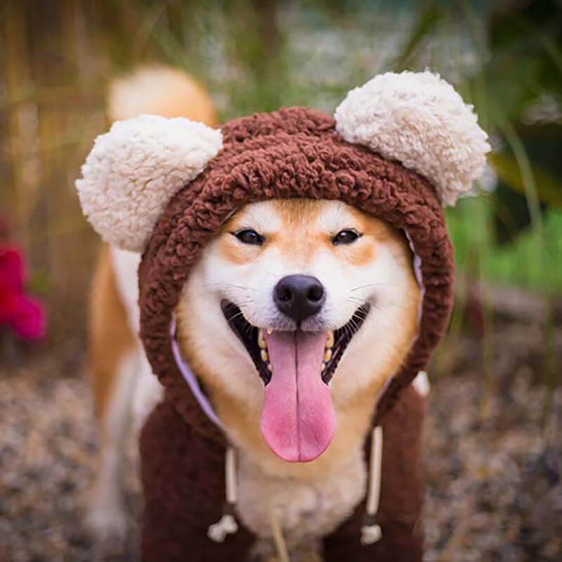 Ropa para perros grandes Golden Retriever, abrigo de talla grande para otoño e invierno, Sudadera con capucha para mascotas, disfraz para perros Pug