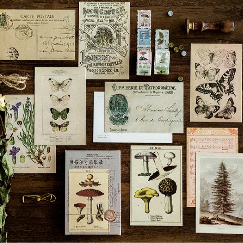 30 stks/doos Oude Bos Dieren Stijl Vintage Postcard Retro Groet Specimen Planten Postkaarten Creatief Schrijven