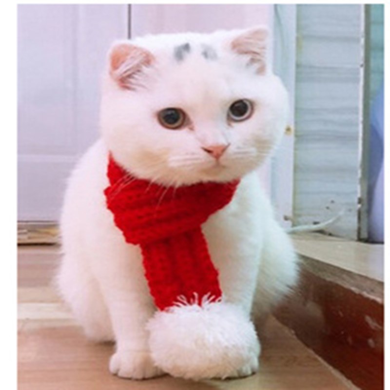 S/M/L Huisdier Gebreide Kerst Sjaal Voor Hond Kat Huisdier Kerst Kostuum Puppy Hond Kitten Chihuahua Teddy kerst Xmas Decoratie