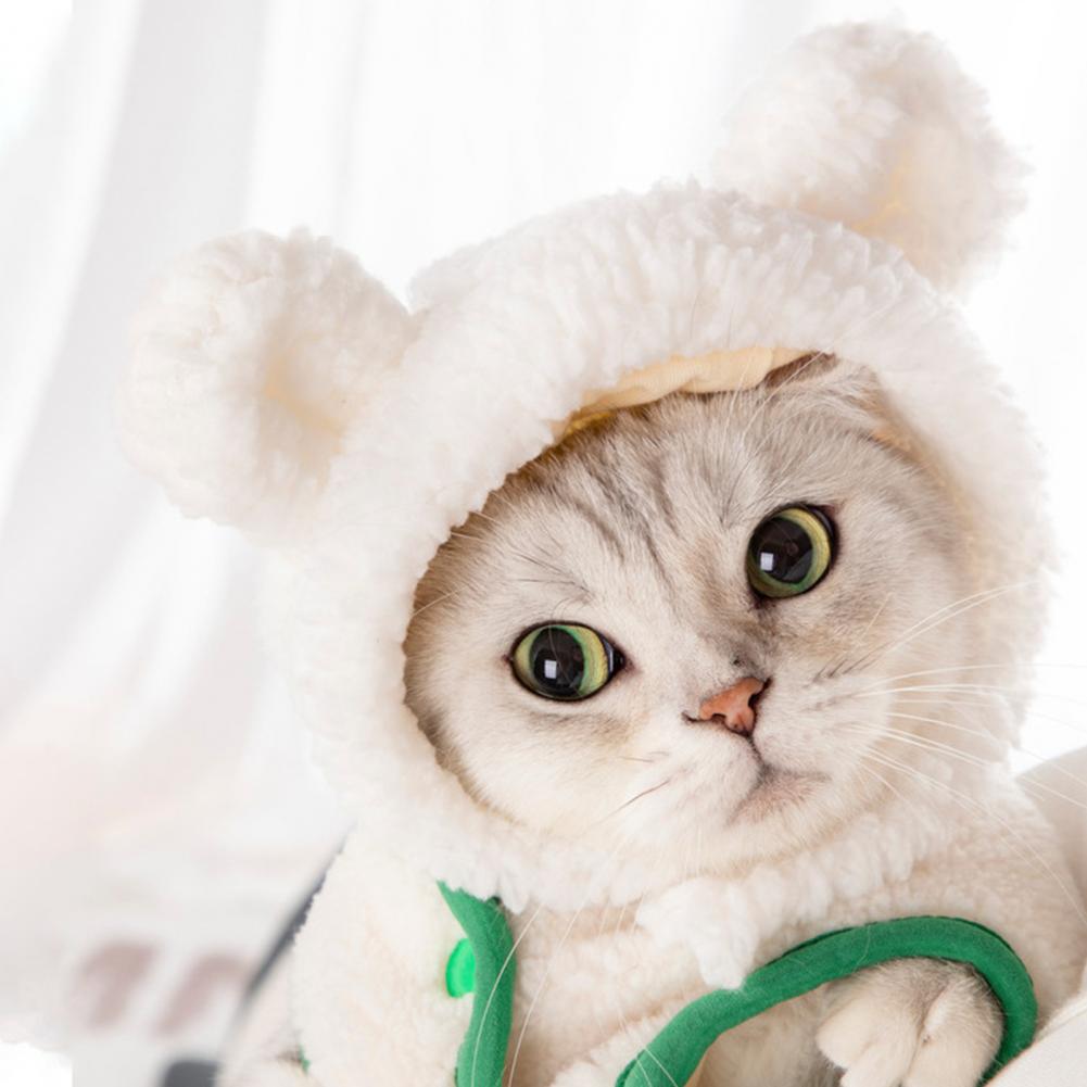 Nydelig valpekue myk behagelig hundelue pustende moteriktig søt kjæledyr valp lue hundlue kattelue hodeplagg kjæledyrkostyme