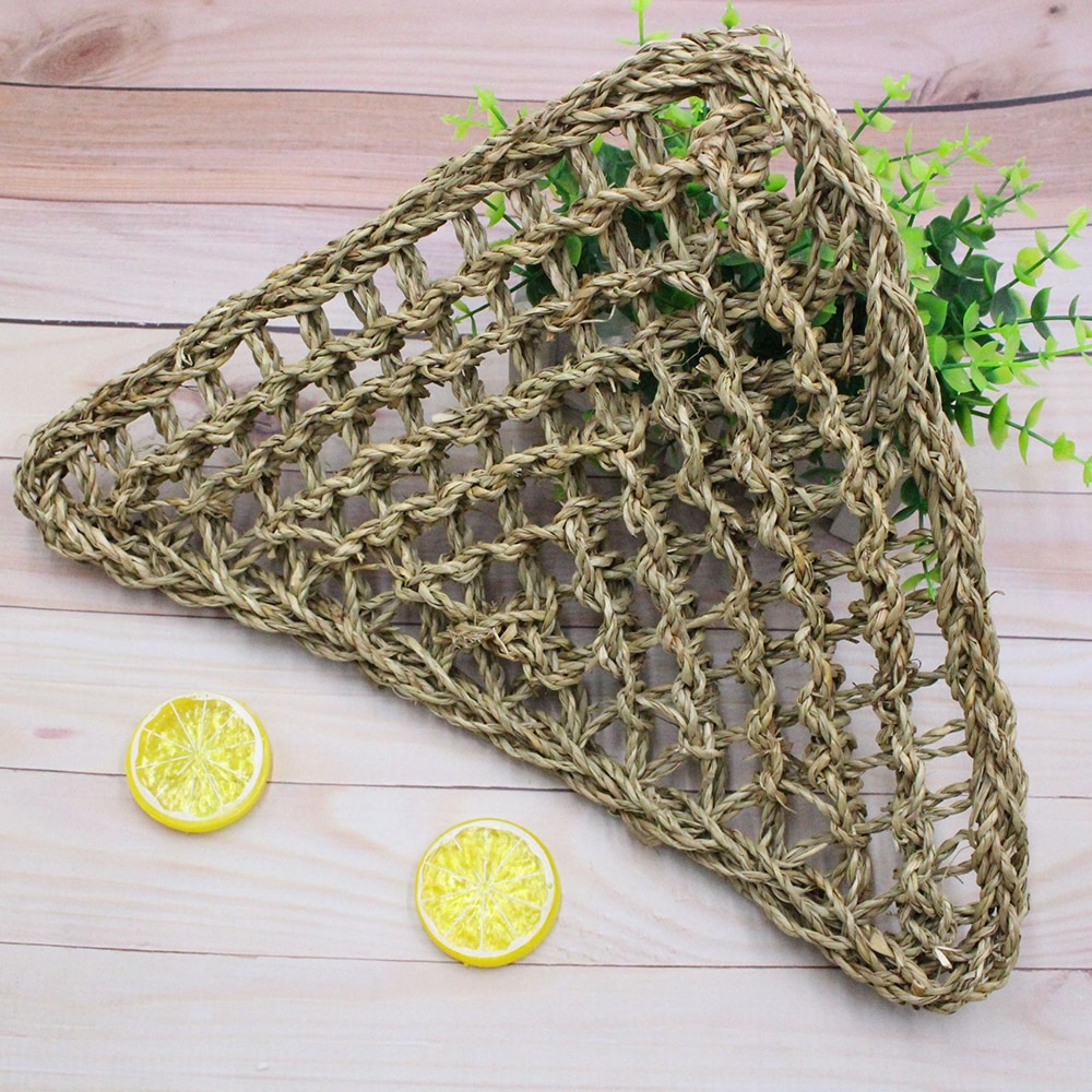 Reptile Platform Hammock Lizard Lounger Hammocks Geckos Hanging Net Tank Decor