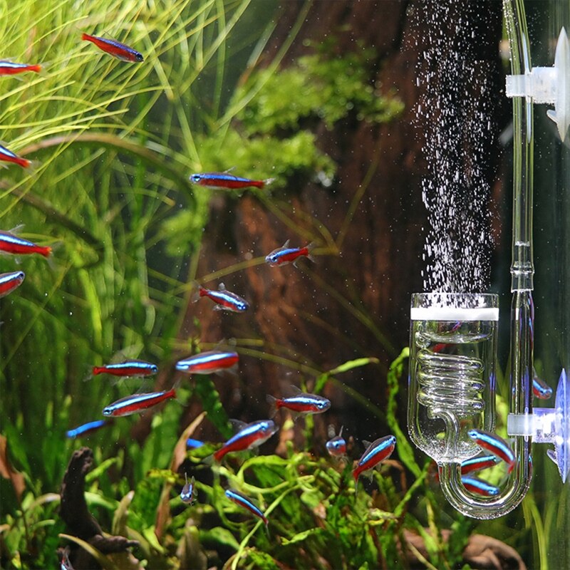 glass fisketank akvarium keramisk diskkondensator vann levende plante akvarium  co2 diffusor tank forstøver  co2 forstøvere til 60 ~ 300l