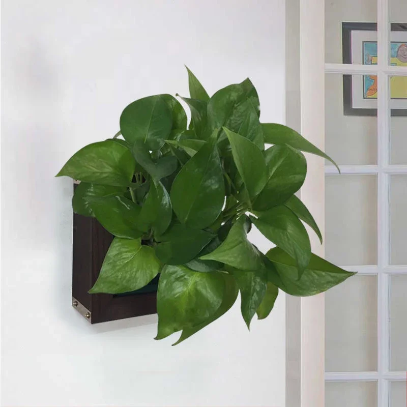 Wand Blumentopf Sukkulenten Wand Raum Topf Balkon Dekorationen Bonsai Topf für Wand dekoration Blumentöpfe schwebende Pflanze