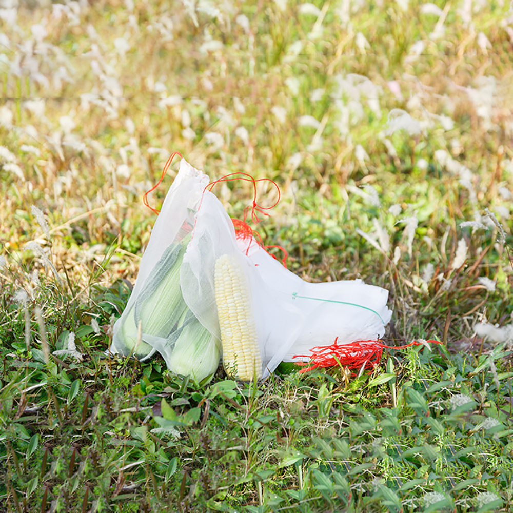 Netting Bags for Grape Fig Flower Seed Vegetable Protection from Insect Mosquito Bug Garden Tool Garden Fruit Barrier Cover Bags