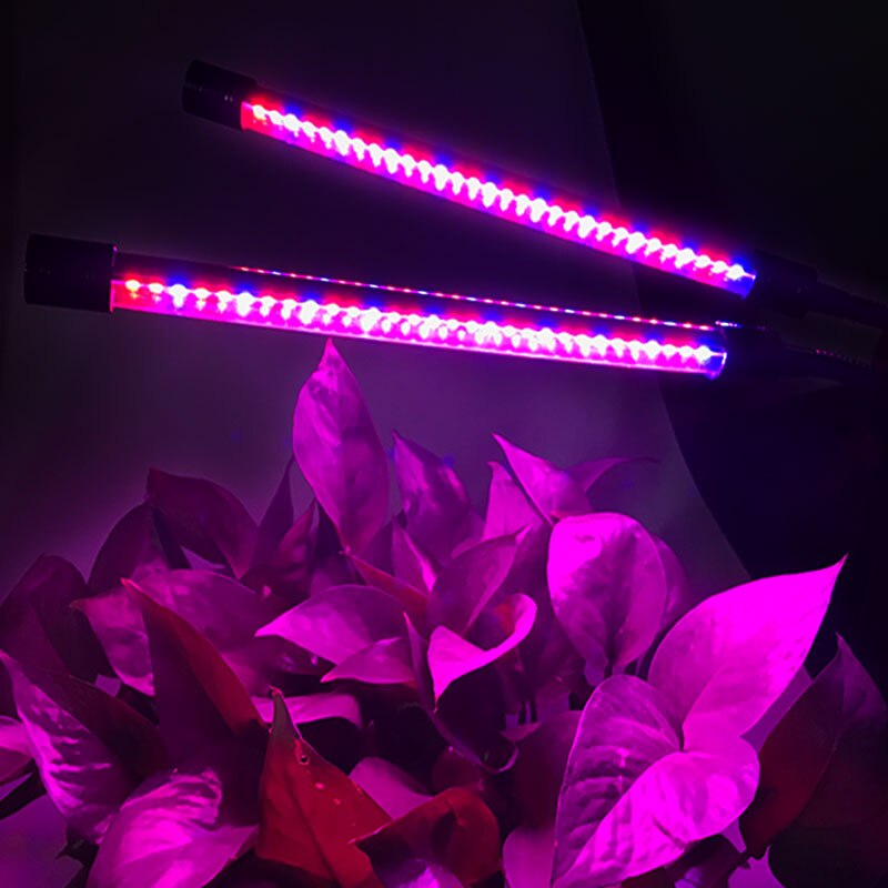 Foxanon-bombillas LED para lámpara de cultivo, 8 niveles, regulable, espectro completo, temporizador, Phyto, para interior, luz de invernadero de jardín