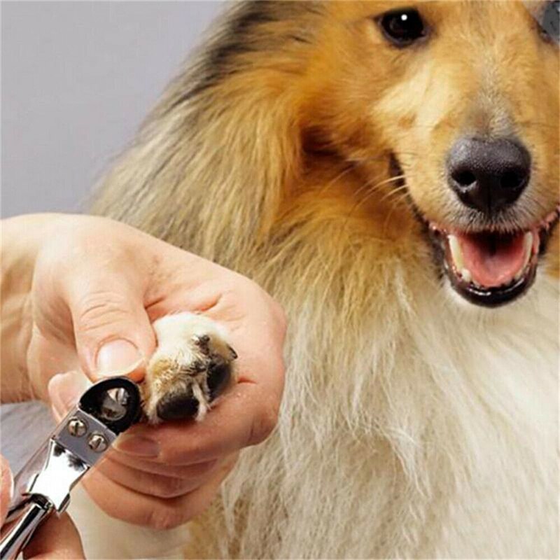 1x Pet Cat Dog Nail Toe Claw Clippers Scissor Trimmer Shear Cutter Grooming Tool