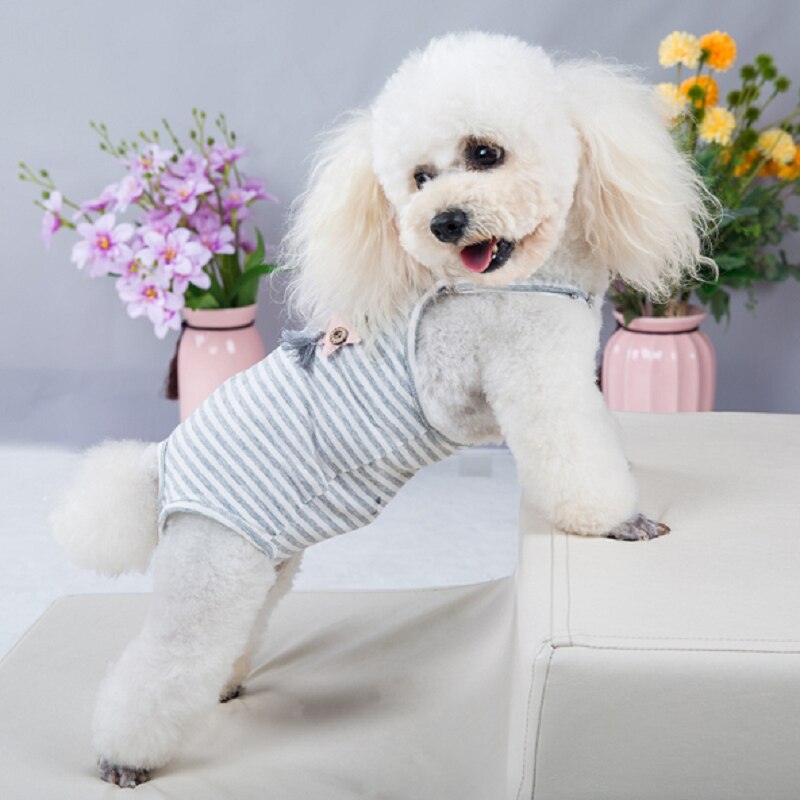 Pantalones fisiológicos con correa para perro, mono de algodón suave, ropa interior lavable, pañales antibacterianos para perro, bragas sanitarias cómodas para perro