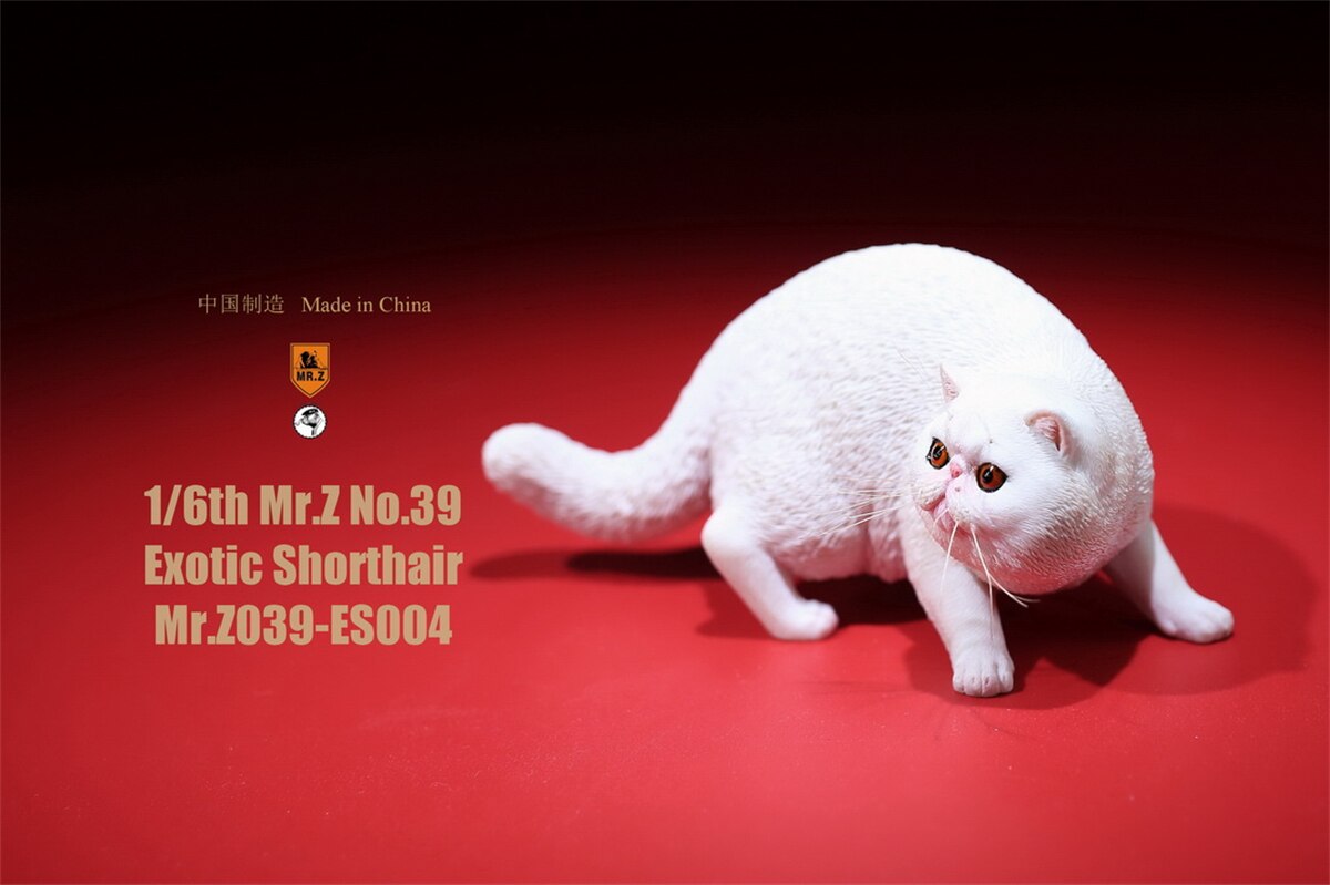 Mr.Z Studio 1:6 Exotic Shorthair Cute Cat Pet Animal Model Collector Toys Kitten Small Accessories Decoration simulation: 004