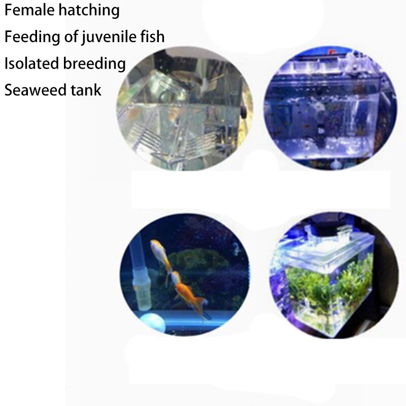 Incubadora transparente para pecera, casa de cría para acuario, caja colgante de aislamiento para reptiles y tortugas