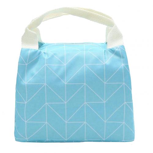 Women Kid Stylish Portable Flower Lemon Bird Food Catus Storage Bag Picnic Pouch food storage bag has a compact size, Beach bag: Blue Plaid