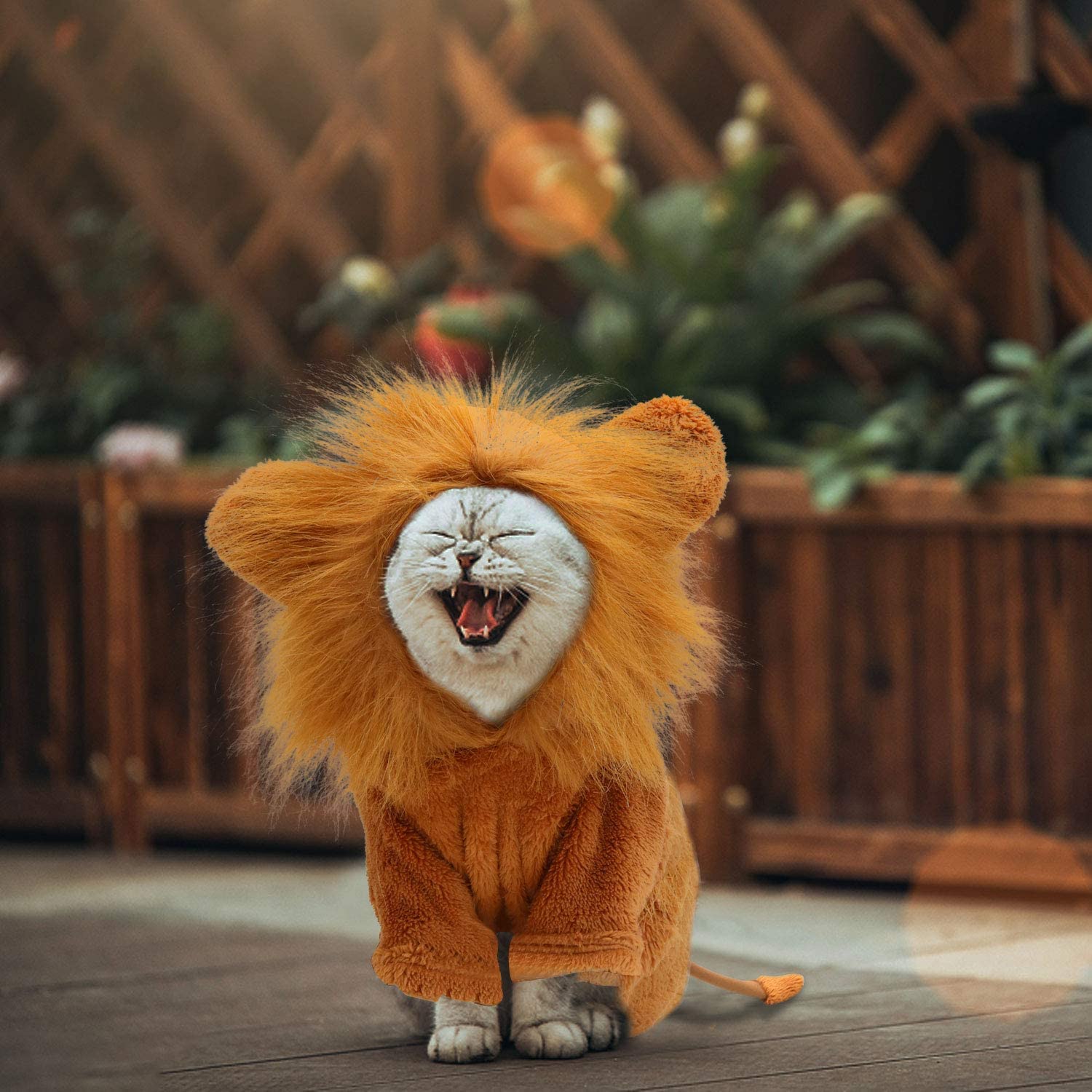 Dog Lion Costume with Lion Mane Cap, Fancy Cartoon Christmas Halloween Costumes, Pet Hoodie Jumpsuit for Role Playing