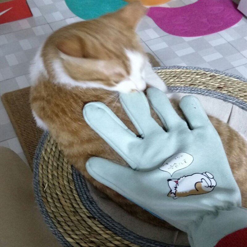Silikon Katze Handschuhe Für tiere Hundesalon Katzen Kamm Reinigung Entfernung Haar Pinsel Massage Haustier Zubehör Haar Versorgung