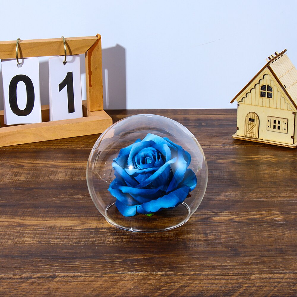 Spherical Glass Cloche Jar Display Stand Cover Terrarium Bottle with Wooden Base Acrylic Dust Cover Display Box Flower Box Home