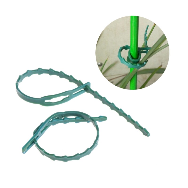 2Pcs Garden Plastic Plant Cable Tied Adjustable Tree Climbing Support Supplies N1HA