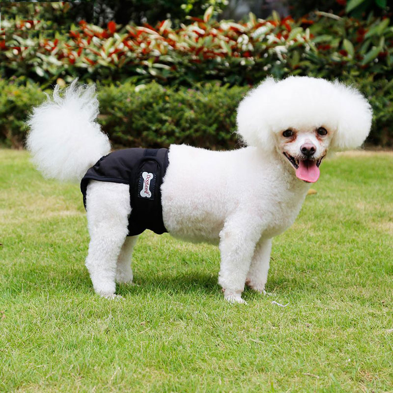 Wasbare luiers voor teefjes, ondergoed voor huisdieren, herbruikbare maandverbanden tegen intimidatie