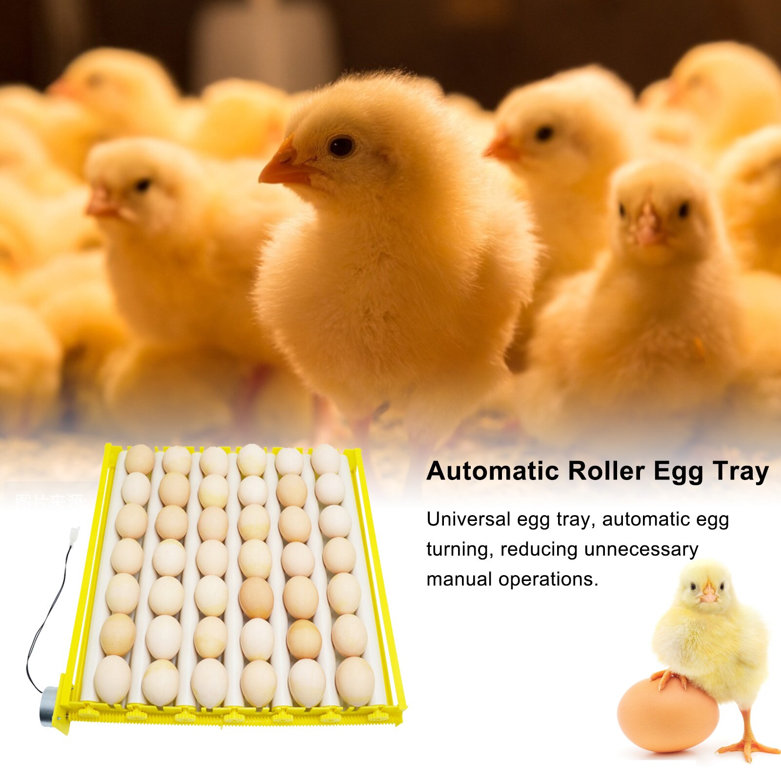 Bandeja giratoria para incubadora de huevos, equipo de incubación de aves de corral, pollos, patos y otras incubadoras de aves de corral, gira automáticamente los huevos, 56 Uds.