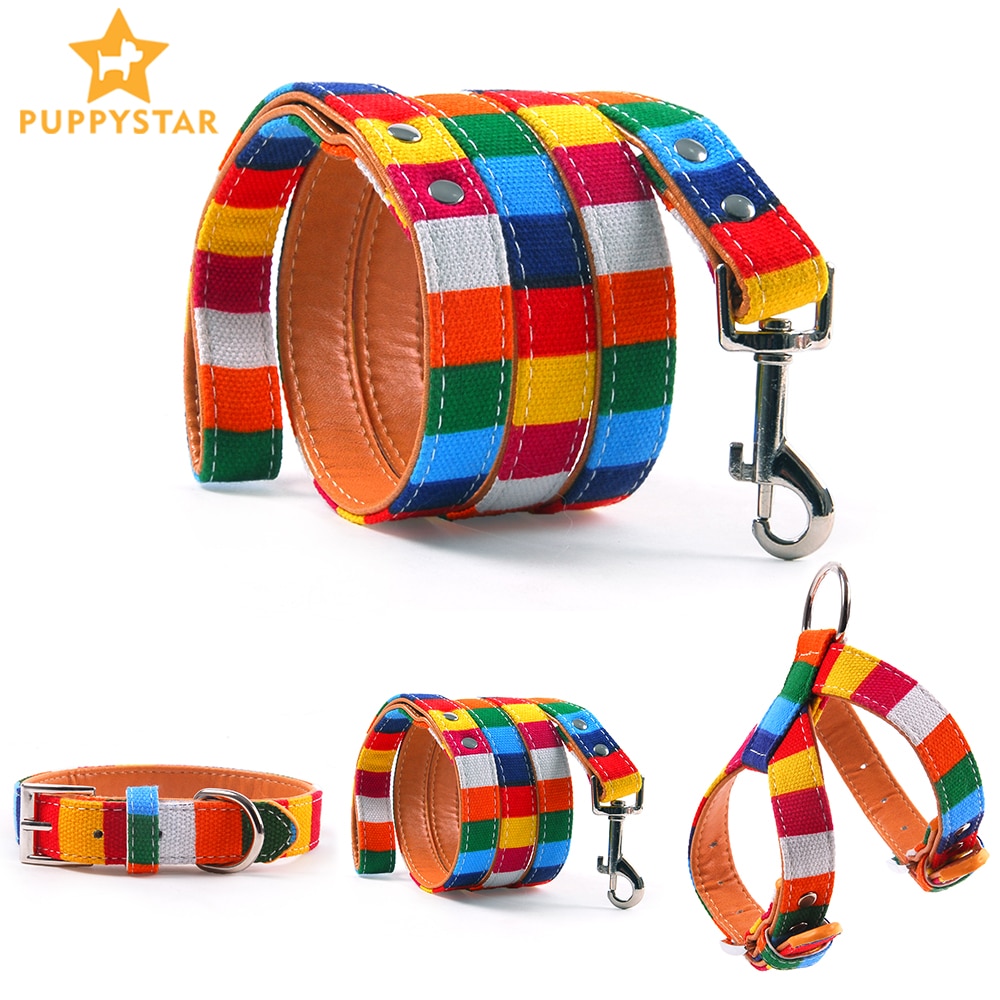 Hondenriem, kleurrijke gestreepte basis hondenriem, halsband voor honden, puppytouw, hondentuigje, chihuahua, kattenriem, huisdieraccessoires  lx0002