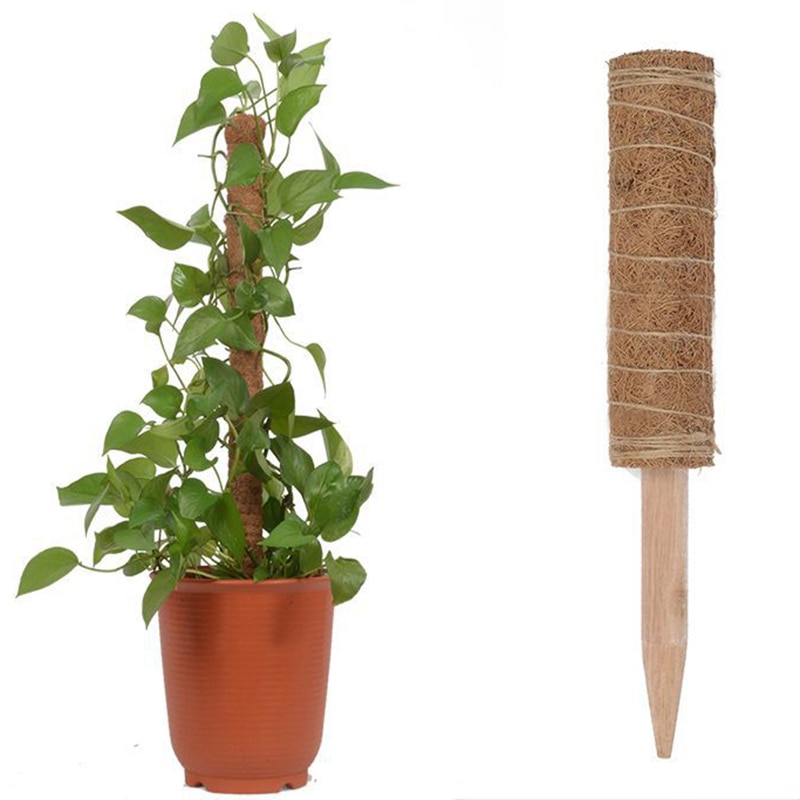 Poste de tótem para escalada de plantas, palo de palma de coco seguro para jardinería, soporte para plantas, vid trepadora y enredaderas, herramientas auxiliares