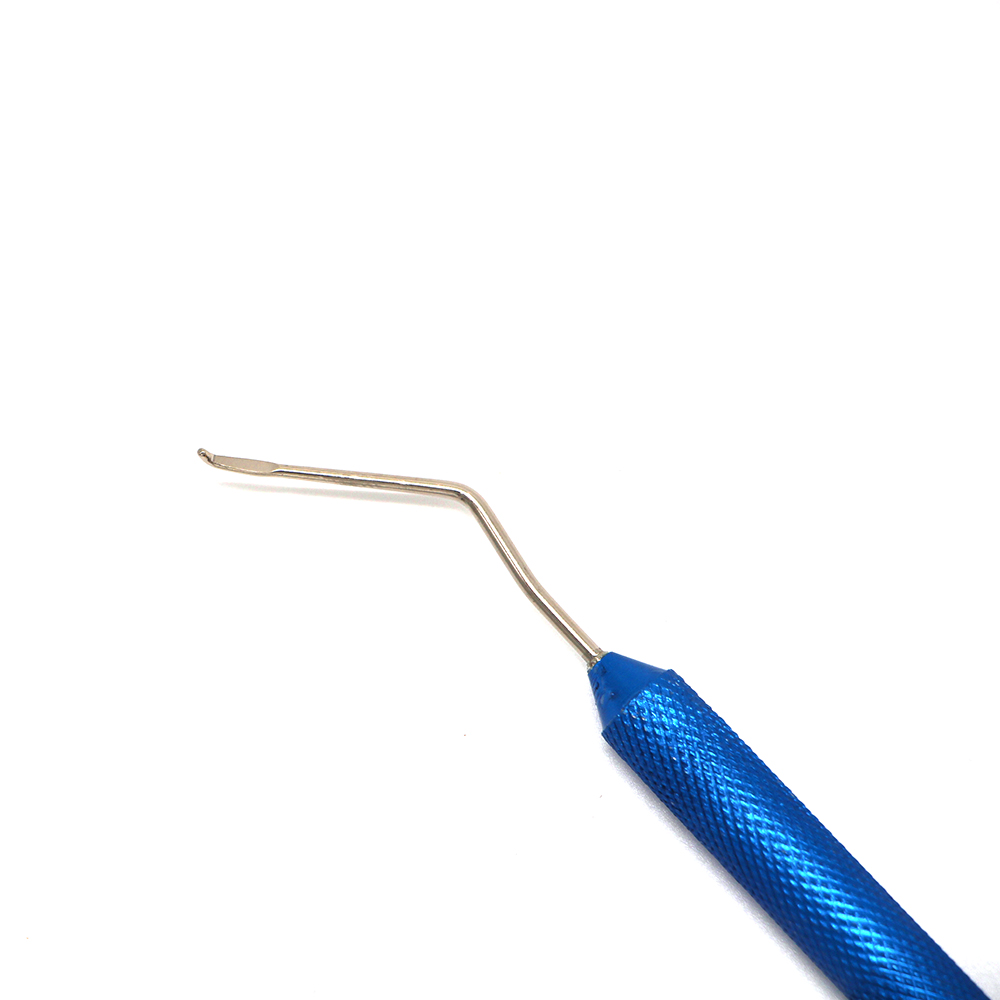 1 kpl mehiläishoidon oksastustyökalu mehiläiskuningatar toukka vaihtoneula ruostumattomasta teräksestä siirtomehiläiset mehiläishoidon kasvatustarvikkeita