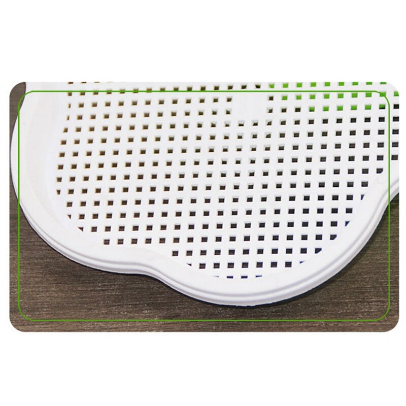 2pz Scatola di Arachidi Germogli di Soia Germogli di Soia Germogli di Soia Piatto di Acqua Coltivazione Piantina Piatto Adatto per il Giardino, Casa, Ufficio