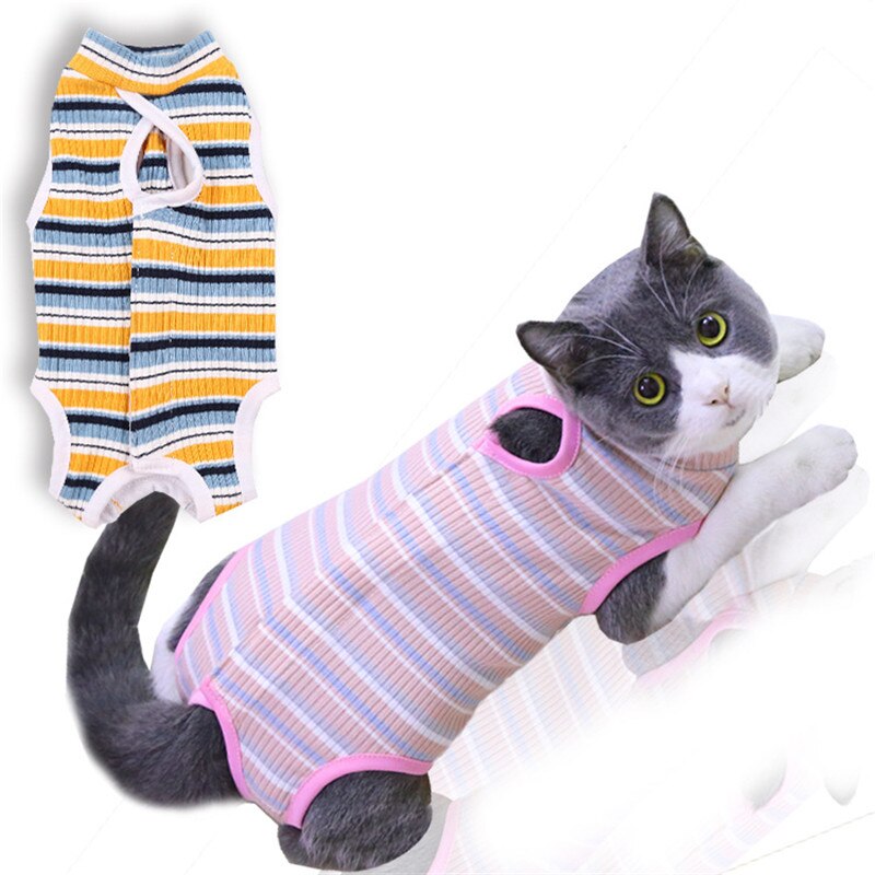 coton chat stérilisation chirurgie vêtements sevrage vêtements respirant physiologique vêtements rayé vêtements pour animaux de compagnie médicament