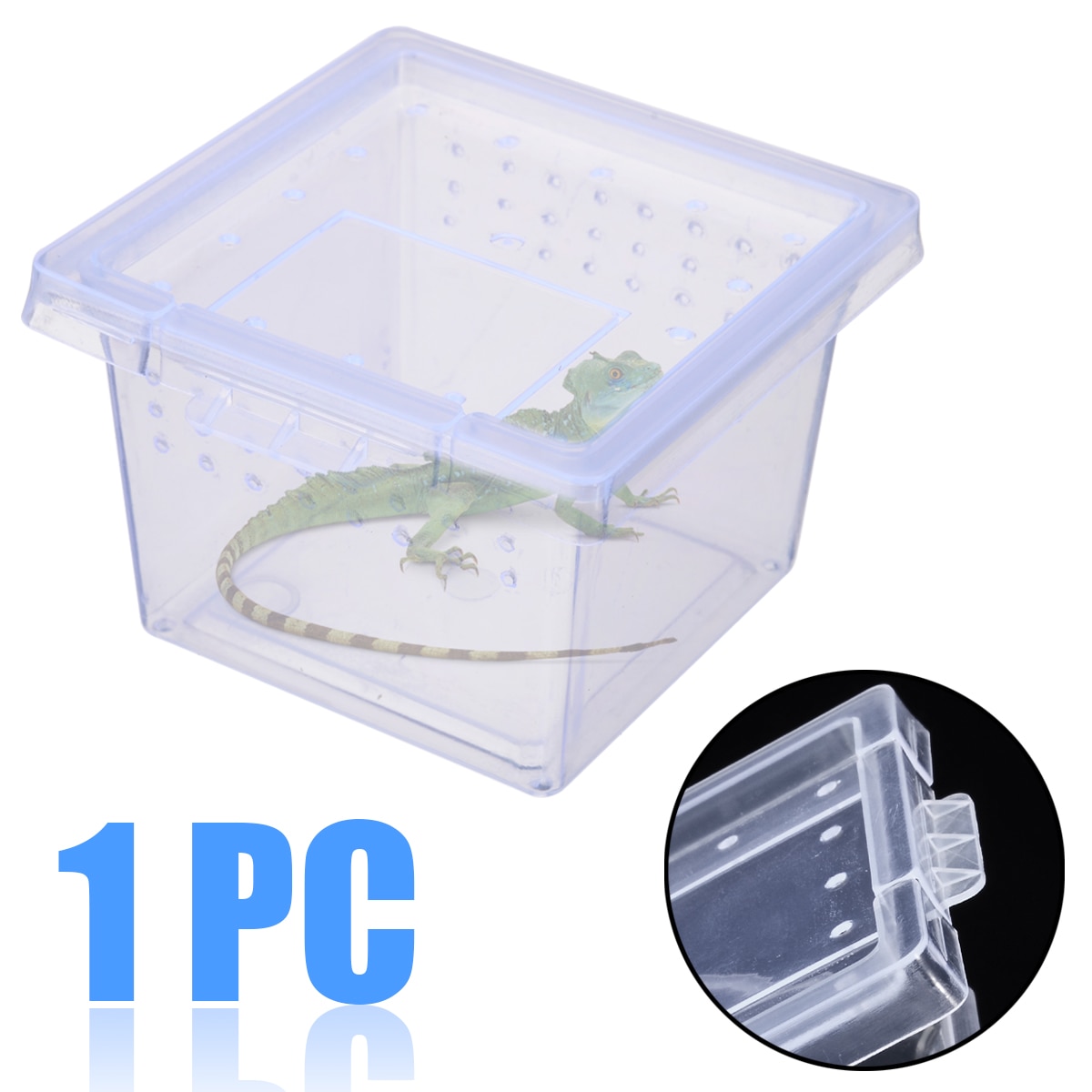 1PC Insect Boxes Clear Plastic Insect Reptile Boxe... – Grandado