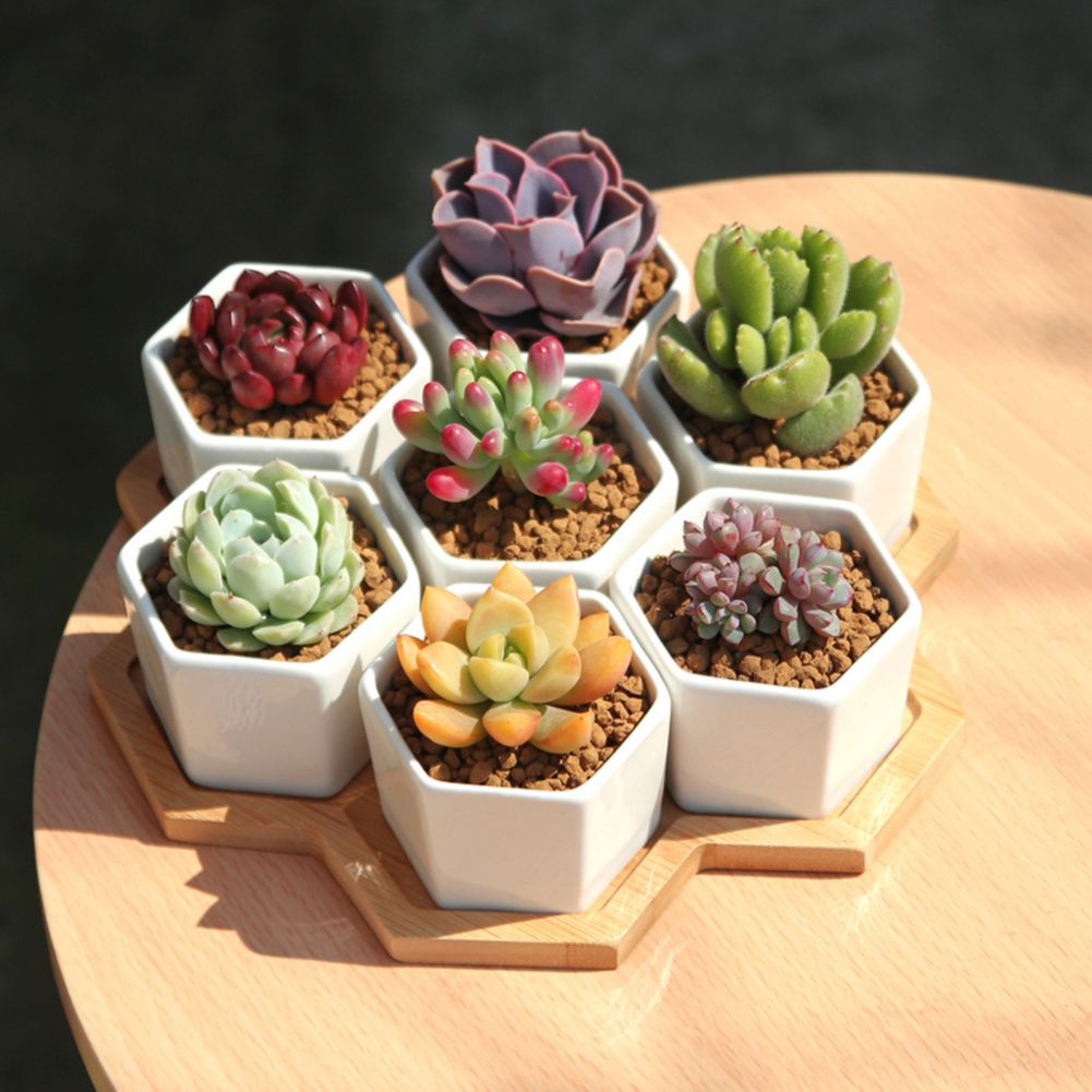 Silicone Molds for Cement Flower Pot Mold Reusable DIY Easy Demould Making Plants Pot Molds for Household Garden Grass Supply