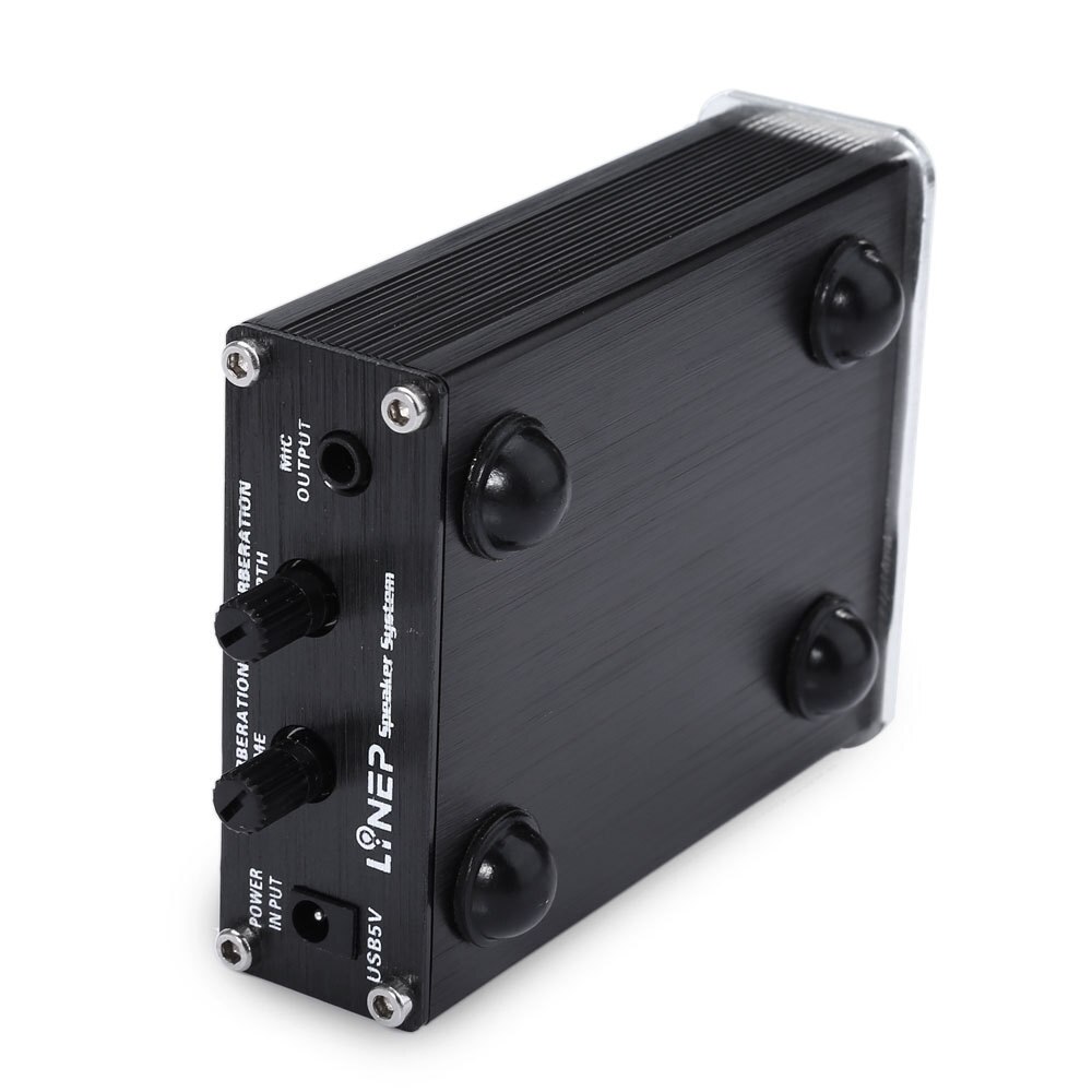 Professionele Microfoon Versterker Dual Microfoon Versterker Computer Microfoon Versterker Microfoon Reverb