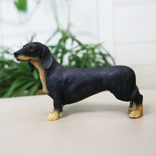 JJM-figura de perro Dachshund Dackel Teckel, coleccionista de mascotas, decoración de coche, Animal de juguete, modelo educativo de PVC para niños, adultos y niños,