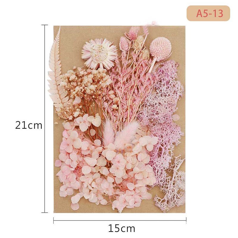 Fleur pressée mélangé fleurs séchées matériel pour bricolage aromathérapie bougies carte de voeux époxy artisanat boucles d'oreilles FAS6: Vert Olive
