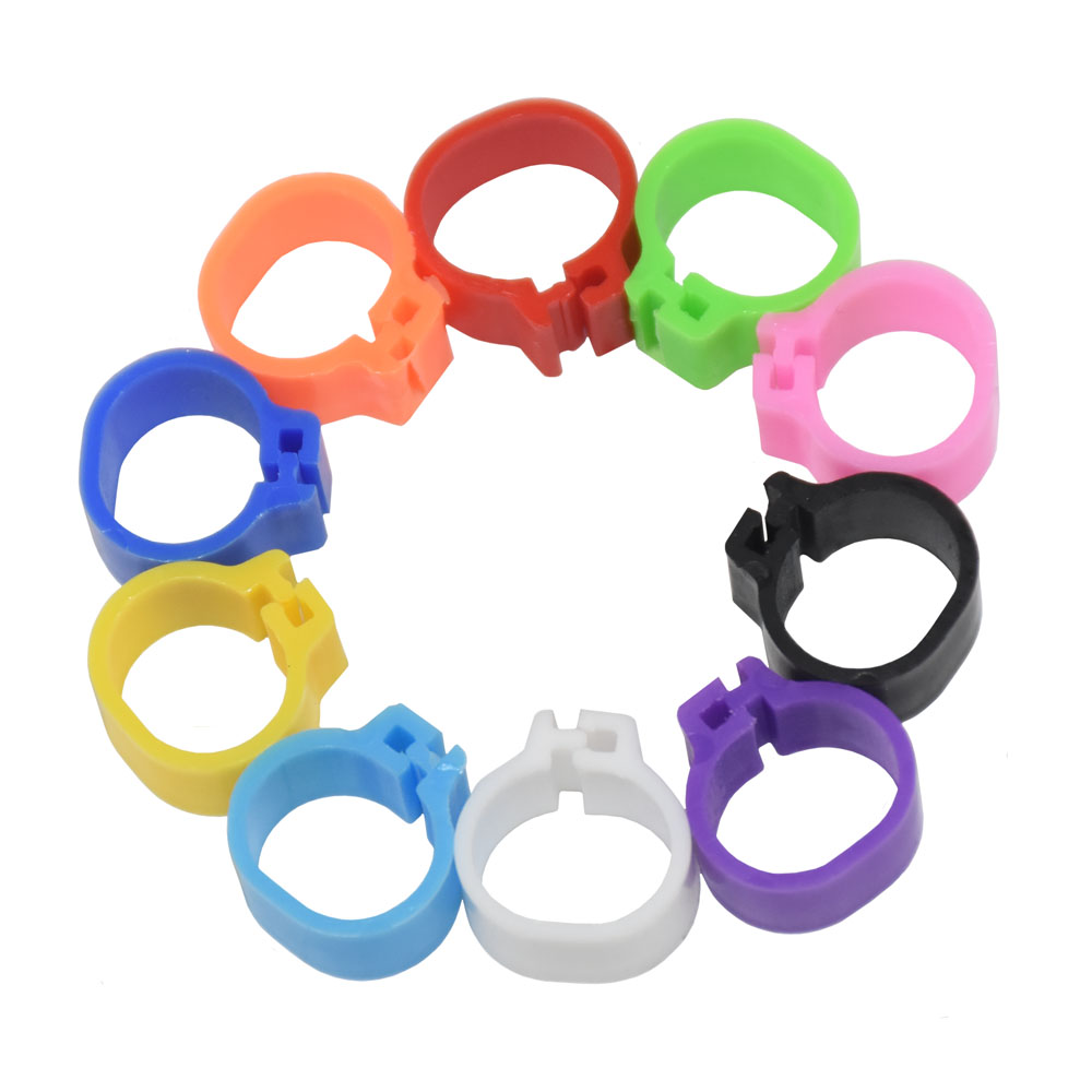 100 Stücke 10mm VöGel Taube Fußringe Kleine GeflüGel FußRing 10 Farben Kunststoff Taube Clip Wachtel Taube FußRing Haustier Vogel Liefert
