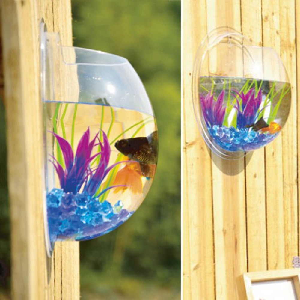 Montaje en pared acrílico para acuario, pez colgante para acuario, flor redonda, maceta colgante para decoración de pared, montaje para acuario, acuario, acuario