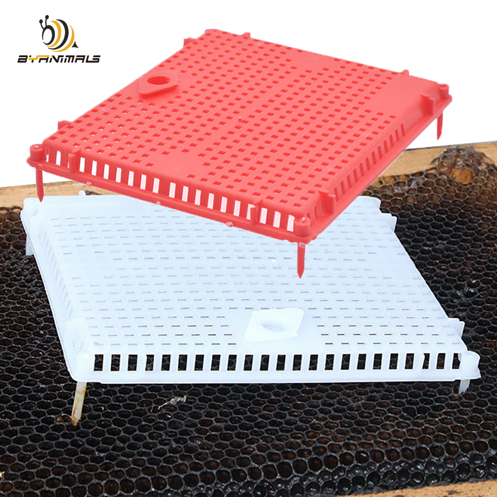 1PCS Intrudction Frame Kooi Om Kolonie Druk In Kam Grote Ruimte Val Koningin Tegen Isoleren Plastic Bijenteelt tool Levert