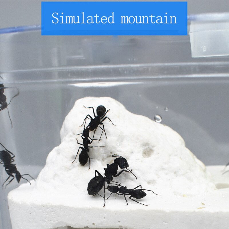 118mmx60mmx70mm Grade Acrylic big space Ant Nest A... – Grandado