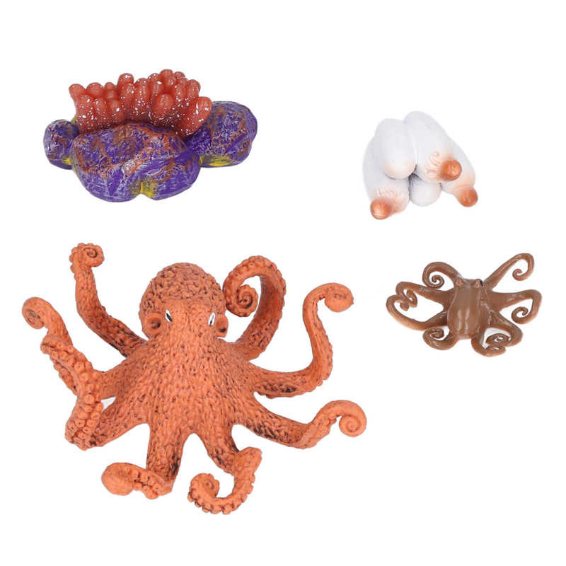 Growth Cycle Toy Vivid Real Growth Cycle Model for Early Education