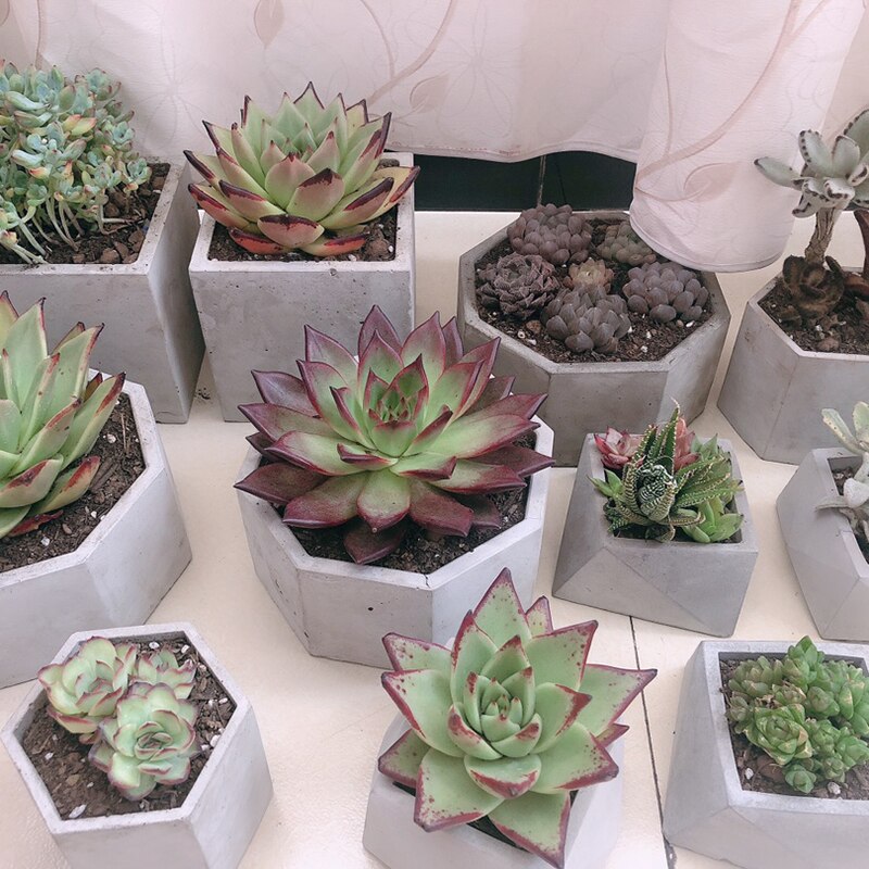 Concrete Molds Concrete Art Planter Pot Molds Silicone Flower Pot Molds Polygon Pot Molds