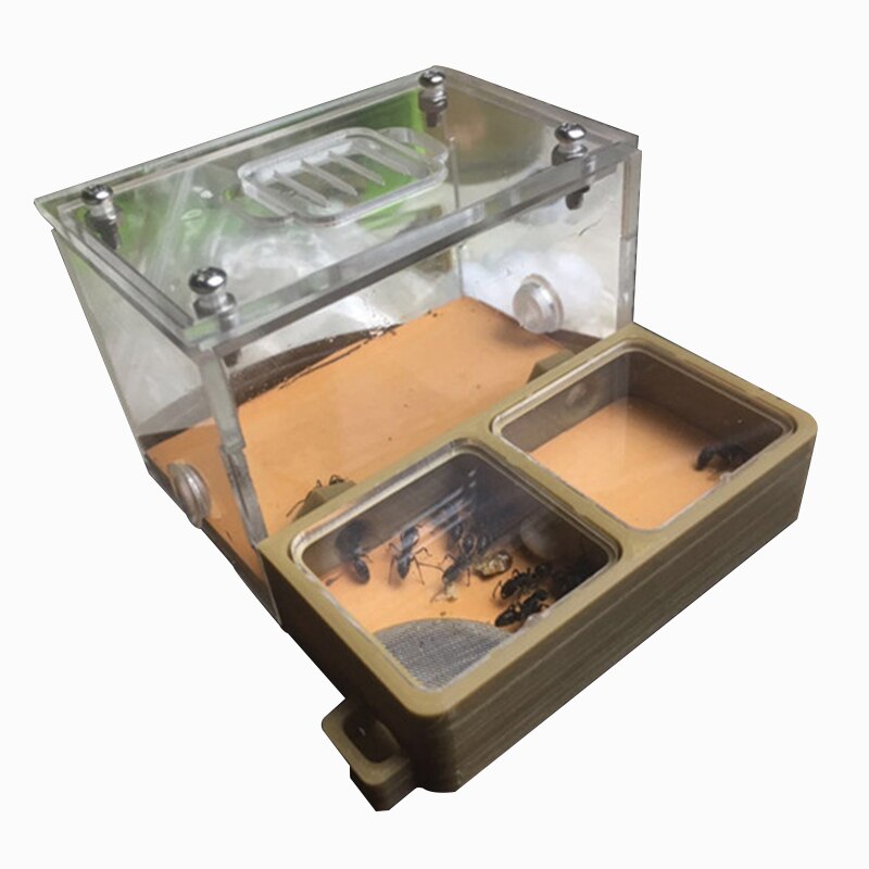 Nid plat à impression 3D pour fourmi, ferme en acrylique à Double grille, petite communauté, alimentation