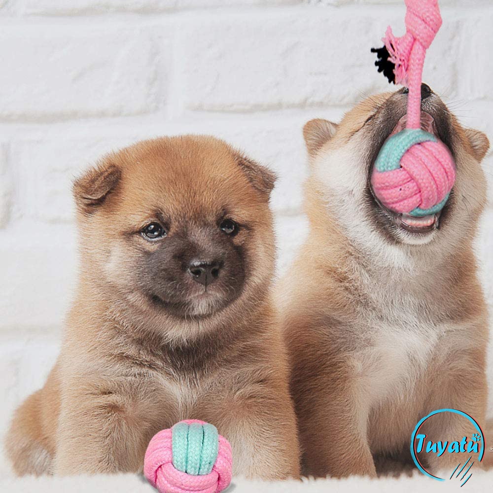 6 paquetes de cuerda de algodón perro de juguete del animal doméstico juguete de perro pequeño limpios los dientes de perro pelota para masticar juguete para perros pequeños perros cachorro interactivo Durable