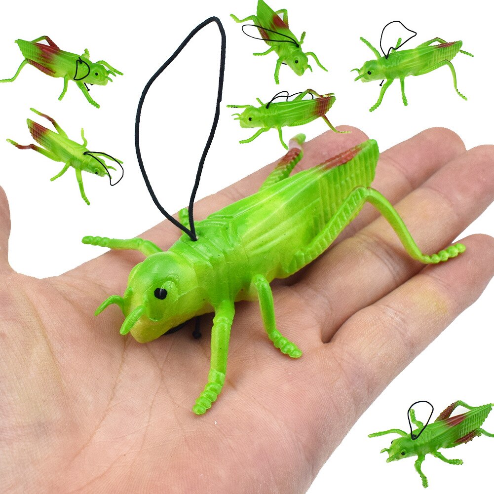 5/10pz/impostato TPR morbido gomma simulazione cavalletta insetto giocattolo modello giocattolo scherzo allarmante scherzo totale persona giocattolo regalo